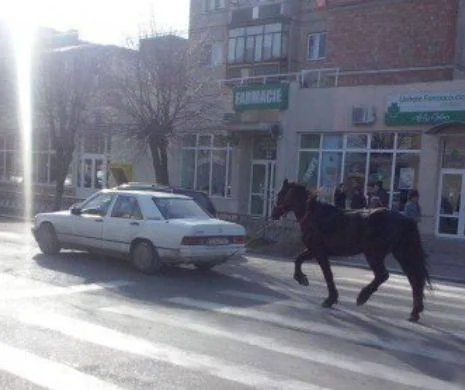 La Pașcani calul se plimbă cu mașina mică