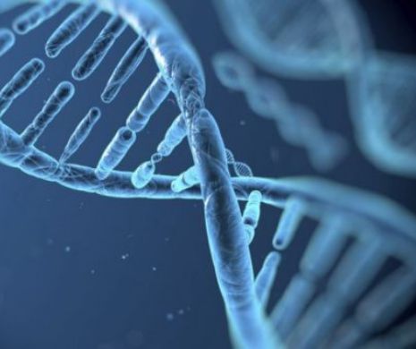 Nobelul pentru CHIMIE a revenit cercetătorilor care au descoperit cum se poate repara ADN-ul