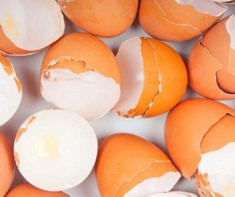Nu mai arunca cojile de la ouă. Uite cum le folosești ca să fii mereu frumoasă