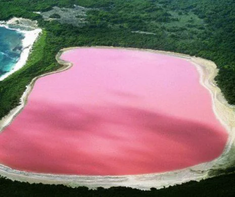 Record: Cel mai mare lac roz | VIDEO