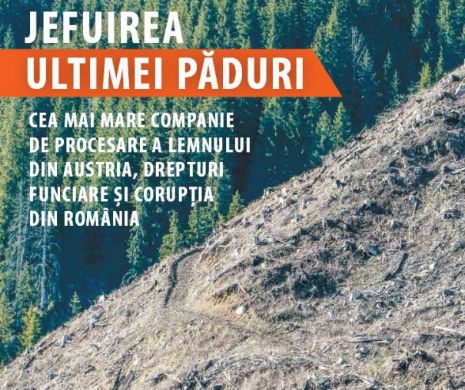 România curată. Un raport cutremurător: Schweighofer Industries, vinovată pentru măcelărirea pădurilor din România