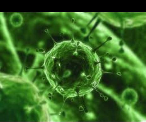 Virusul West Nile a făcut două victime în ROMÂNIA