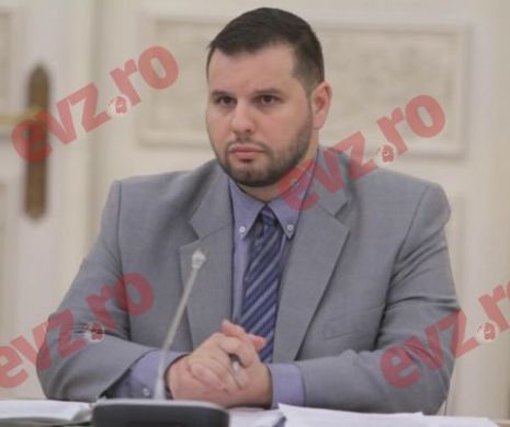 Dan Stoenescu, avzat pentru ministerul Românilor de Pretutindeni