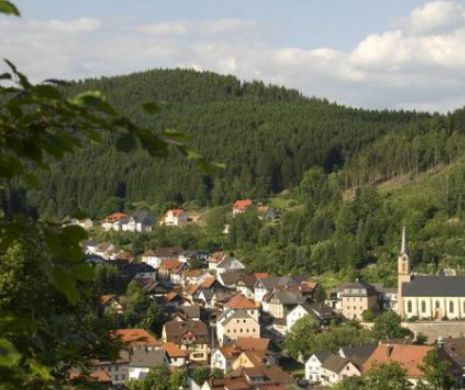 NEWS ALERT. Cadavrele a șapte bebeluși au fost găsite într-o casă din orașul Wallenfels