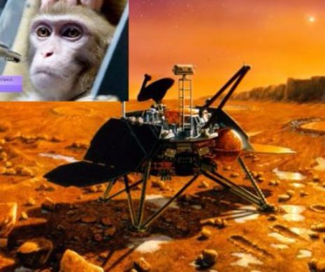 Rusia antreneaza macaci pentru a-i trimite pe Marte!