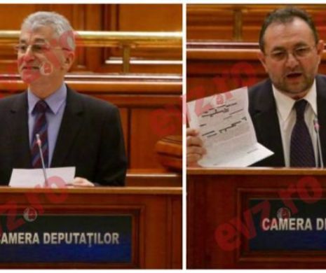 Deputaţii votează azi cererile DNA de arestare a liberalilor Ioan Olteanu şi Cătălin Teodorescu