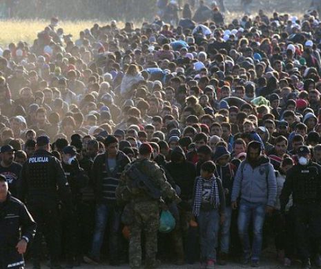 ESTE OFICIAL: se ştie numărul imigranţilor INTRAŢI ÎN EUROPA în 2015. Galerie foto cu MOMENTELE DECISIVE pentru oamenii ce-şi caută O VIAŢĂ MAI BUNĂ