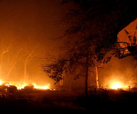 INCENDII în Australia. Peste 100 de case au ars în ziua de Crăciun