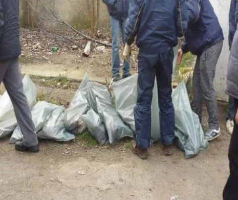 ORORI din adăpostul groazei din Alexandria: „Cadavre ale cainilor pluteau pe canalele de scurgere”
