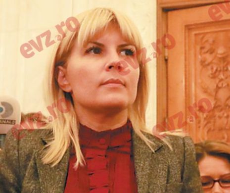 Elena Udrea, la Poliţie pe 1 ianuarie: Îmi doresc un an mai liniştit
