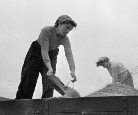 Munca agricolă din Uniunea Sovietică. Cum arătau FRUMUSEŢILE care lucrau pământul | GALERIE FOTO