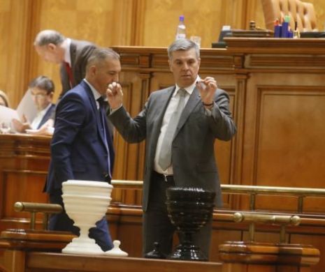 Camera Deputaţilor: 19 noiembrie devine legal Ziua Bărbatului