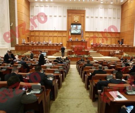Camera Deputaților: Un proiect de lege care desființează inspectoratele, adoptat tacit