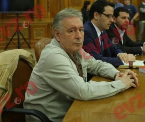 Comisia Juridică discută azi cazurile Mădălin Voicu şi Nicolae Păun
