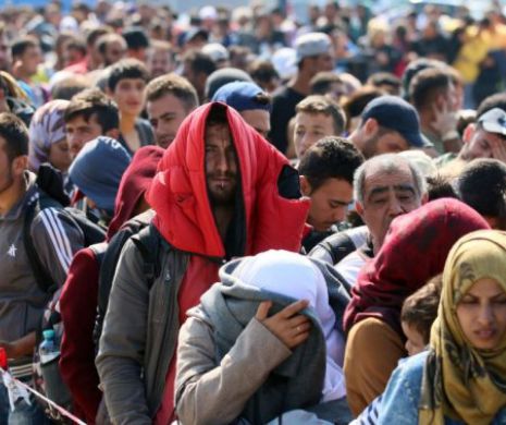 Germania aşteaptă 500.000 de migranţi în acest an