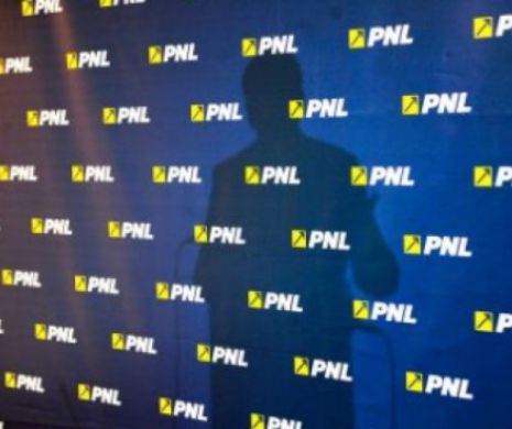 PNL solicită demisia prefectului  Neamţ