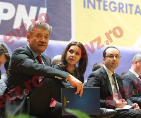 PNL va face alianţă cu partidul lui Mircea Geoană pentru alegerile locale