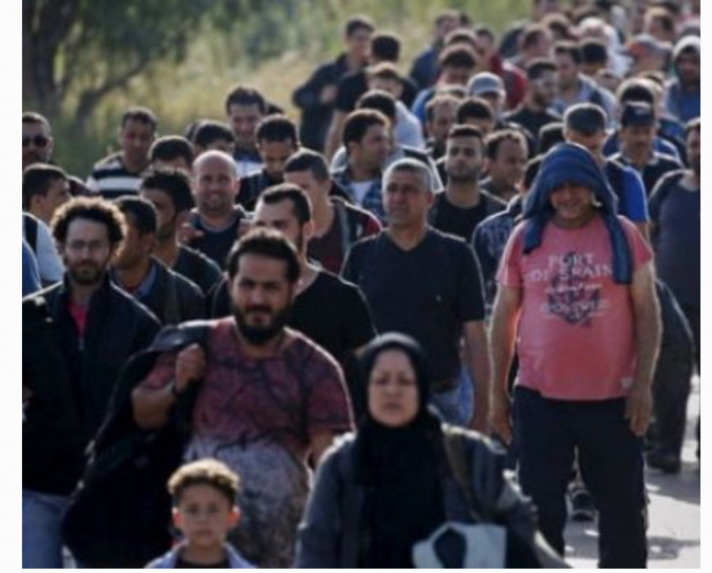 Ultima modă printre evazioniiștii fiscali: își trec firmele pe refugiați sirieni găzduiți în Ungaria