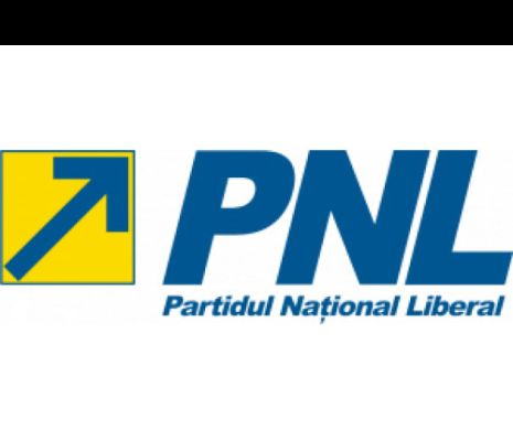BPN al PNL a validat candidaţii la primăriile sectoarelor bucureştene
