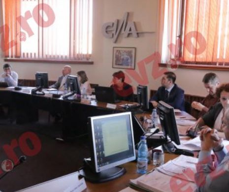 Cazurile Kovesi și Tăpălagă, COMASATE pentru o singură amendă. Un membru CNA a avut cuvinte de laudă pentru scrisoarea Oanei Stancu: „un text foarte bine scris”