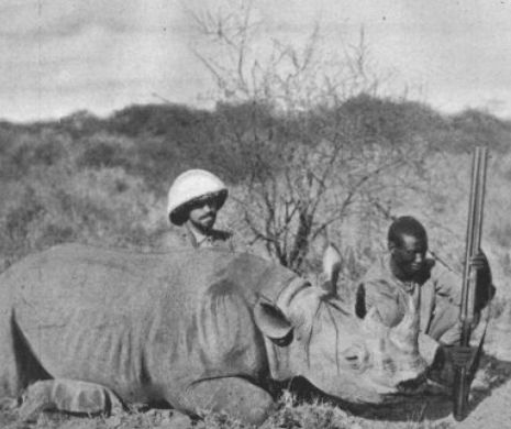 Cum au dat iama doi boieri moldoveni în „rinoceroșii” africani