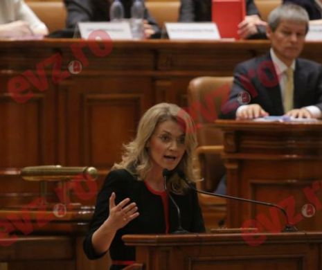 Gorghiu: Guvernul a răspuns la plângerea prealabilă a PNL privind alegerea primarilor într-un singur tur