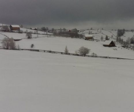 La Cluj a nins, joi seara, ca într-o lună de iarnă. Copiii au fost cei mai fericiți