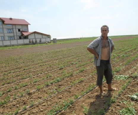Semnal pentru România: "Agricultură de succes, dar cu oameni săraci"