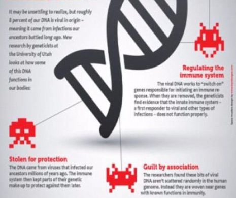 Veste ȘOCANTĂ din partea oamenilor de ȘTIINȚĂ: 8% din ADN-ul UMAN este compus din VIRUȘI. Vezi ce efect are acest lucru asupra noastră