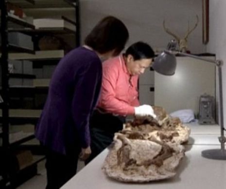 DESCOPERIRE UIMITOARE în Tawian. Arheologii au rămas ULUIŢI ce au găsit într-un mormânt vechi de 5.000 de ani | VIDEO