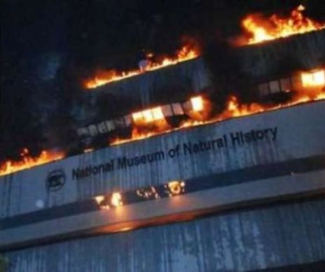 India: flăcările devastatoare au distrus Muzeul de Istorie Naturală