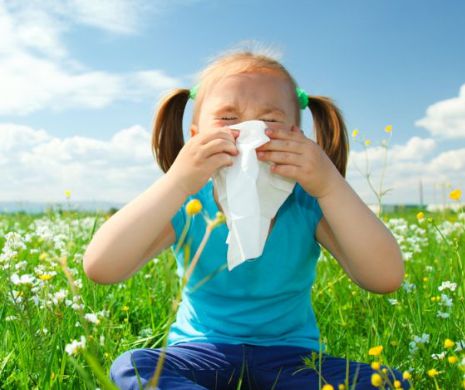 Schimbările climatice prelungesc sezonul alergiilor la polen