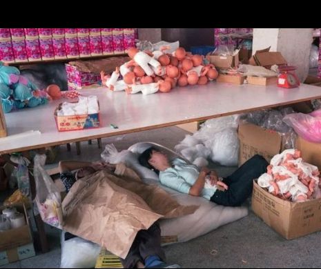 Condiţiile INUMANE din FABRICILE DE JUCĂRII din China. Dorm şi mănâncă pe UNDE APUCĂ şi lucrează aproape NON-STOP | GALERIE FOTO