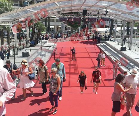 Din cetatea filmului european. Cannes 2016, mare aglomerație și pentru premiul prostului gust