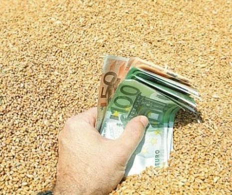 Măsuri financiare temporare pentru susținerea agricultorilor