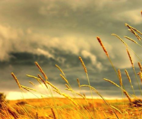 Meteorologii anunță cum va fi VARA lui 2016. Mai multe regiuni din România vor fi atinse de temperaturi ridicate și secete