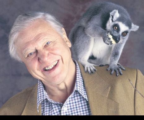 Sir David Attenborough, imaginea științelor naturii în Marea Britanie, face documentare pentru BBC și la 90 de ani!
