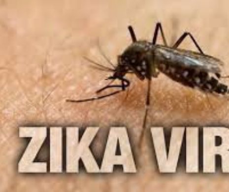 Virusul Zika, RISC DE APARIŢIE ÎN ROMÂNIA. Organizația Mondială a Sănătății a comunicat ULTIMELE DETALII