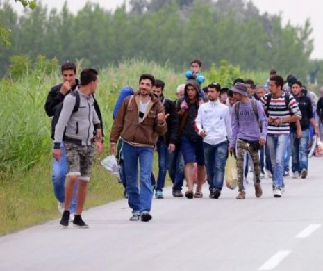 Zeci de REFUGIAȚI au dat bir cu fugiții când au aflat că vor fi trimiși în ROMÂNIA