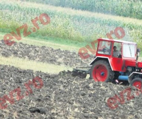 Agricultura României nu mai e profitabilă, comercianţii intră pe pierderi