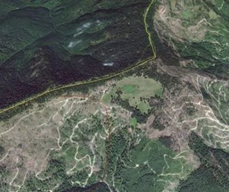 CARIILE pădurilor din România: MAFIA şi INDIFERENŢA autorităţilor