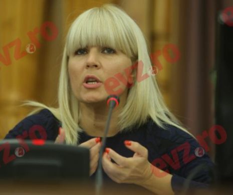 Elena Udrea aruncă BOMBA: "România este condusă de cei care deţin cătuşele"