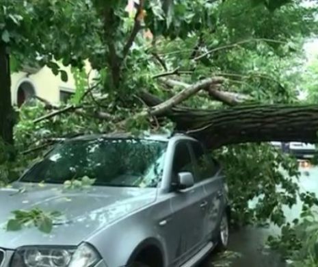 Furtună de PROPORȚII în București! Mai MULTE cartiere sub APĂ și MAȘINI avariate de COPACII doborâți