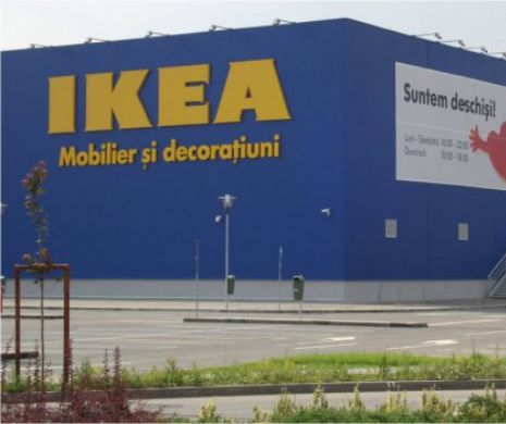 IKEA a început să TAIE DIN PĂDURILE cumpărate în România