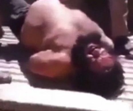 Namila jihadistă care tăia capete şi ciopârţea prizonierii ISIS a fost capturată de armata siriană. IMAGINI cu BULDOZERUL islamist tratat aşa cum o cer faptele sale
