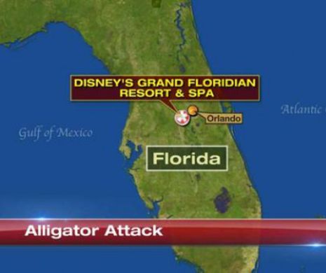 NENOROCIRILE se țin lanț în ORLANDO, Florida. Un copil de doi ani a fost ”răpit” de un crocodil într-un complex al Disney World