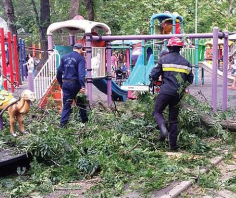 Patru copii și două femei, răniți de o cracă în Parcul Cișmigiu