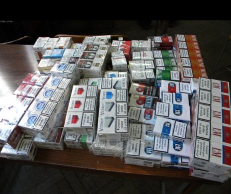 Percheziţii în judeţele Alba şi Cluj într-un dosar de TRAFIC de ţigări care ar fi PREJUDICIAT statul cu 17.000 lei