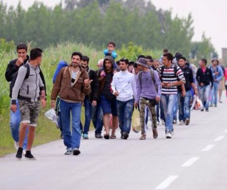 Ungaria aplică noi MĂSURI ANTIIMIGRAŢIE la graniţele cu Serbia şi Croaţia
