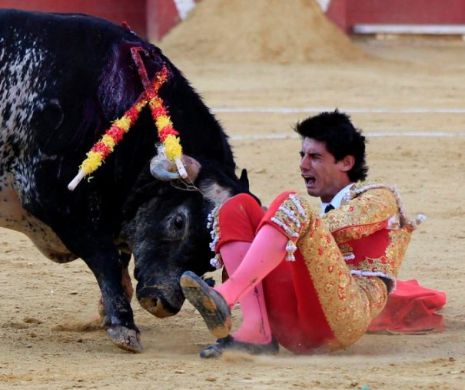 Unul dintre cei mai buni matadori ai Spaniei a fost ucis de taur, sub ochii soției. Este primul ucigaș de tauri care moare în arenă, în acest secol. Lupta era transmisă în direct | GALERIE FOTO și VIDEO